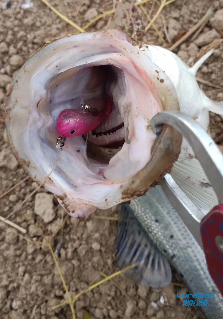 Underspin Soft Swimbait 18g / 21g product detail 9